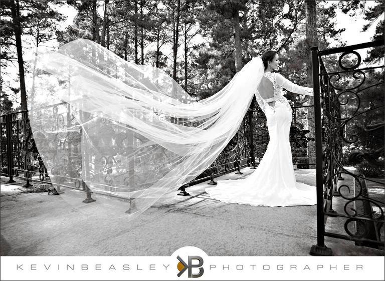 Berta-Bridal,Bertabridal,Berta,Berta-wedding-gown,Berta-wedding-Dress,Berta-Dress,Exotic-wedding-dress,lace-gown,lace-wedding-dress,Berta-Bridal,Bertadress,New-Orleans-wedding-photographer,030